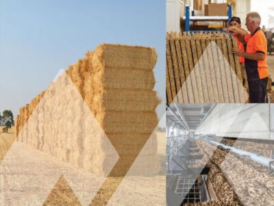 Building with biomass image montage
