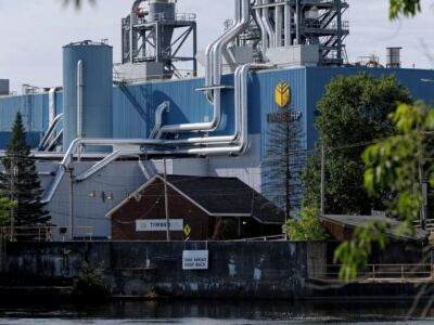 Building What Comes Next: TimberHP Featured in The New York Times